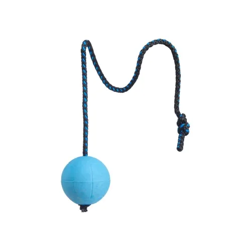 Pro Dog Soft Rubber kummipall nööriga, 60 cm, türkiis