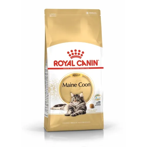 Royal Canin kassitoit Maine Coon tõugu kassidele 4 kg