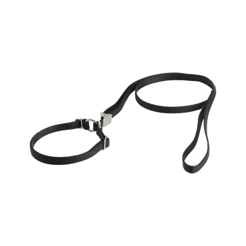 Show Dog koera näituserihm kaelarihmaga, 10 mm x 110 cm, must