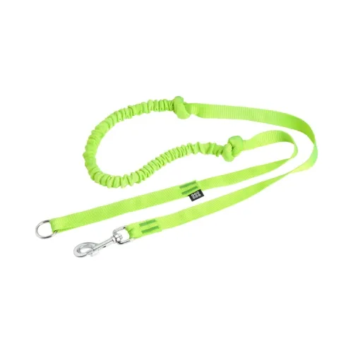 Pro Dog koera elastne jalutusrihm nailonist, 2,5 x 170 cm, laim