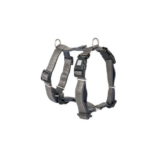 Max&Molly koera traksid Matrix 2.0 XS, hall