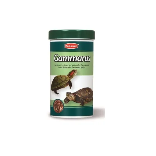 Padovan Gammarus kilpkonna täistoit 30 g/250 ml