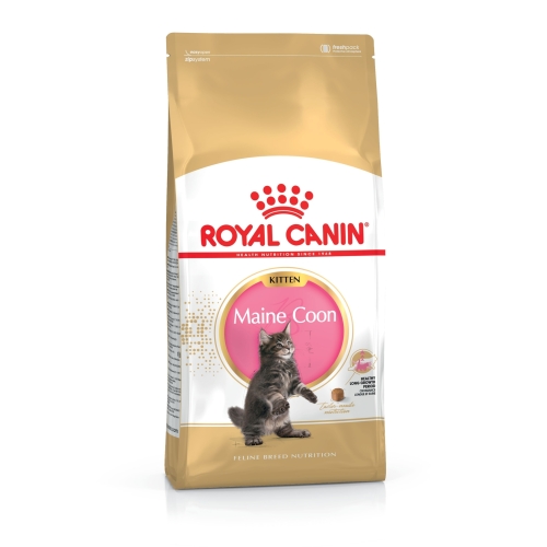 Royal Canin kuivtoit Maine Coon kassipoegadele 2 kg