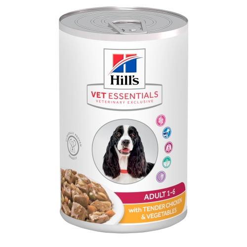 Hill's Vet Essentials hautis kana ja köögiviljadega koerale 363g