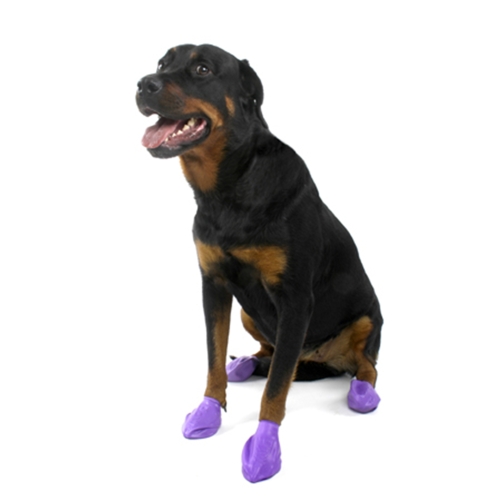 Pawz koerte kummisokid M, sinine 12 tk