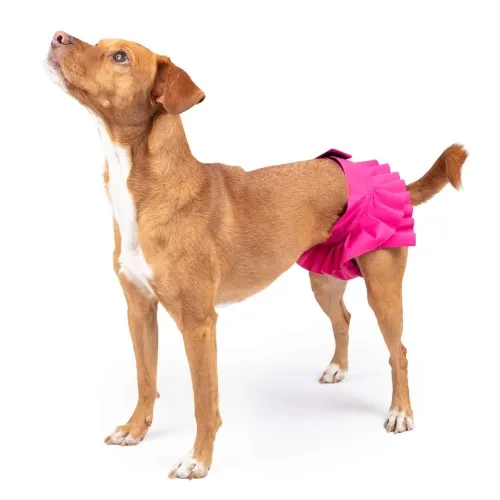 Finnero jooksuajapüksid Ballerina, fuksia, S