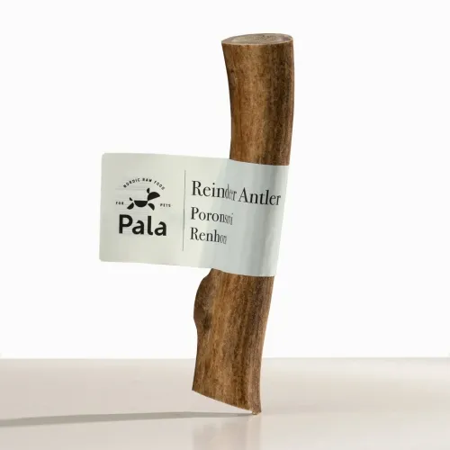 Pala koera maius, põhjapõdrasarvega L, 125-250 g