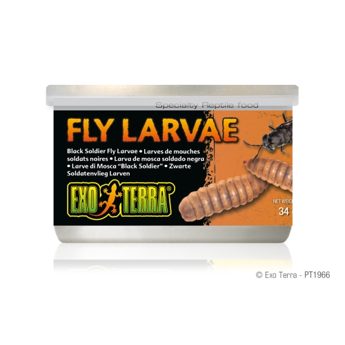 Exo Terra Wild Feed roomajate konserv kärbsevastsetega, 34 g