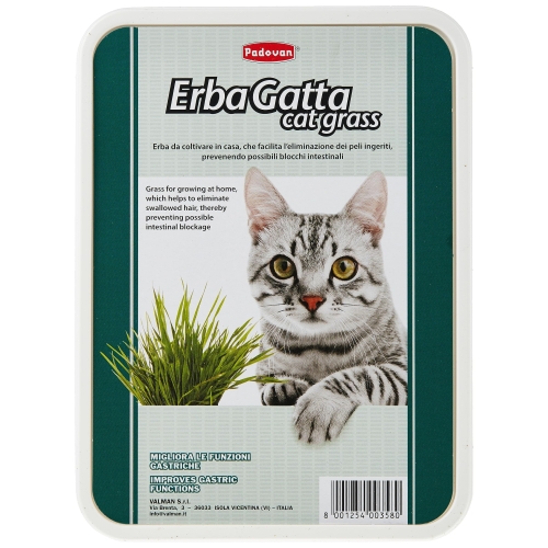 Padovan kassimuru Erbagatta