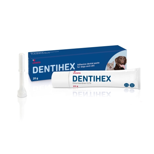 HAMBAPASTA DENTISEPT 20G