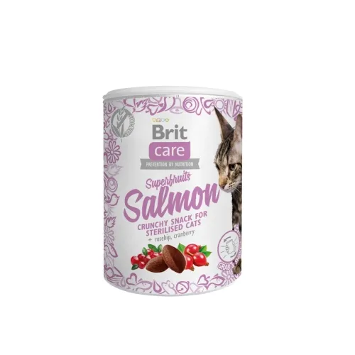 Brit Care Superfruits kassi maius, lõhe, 100 g