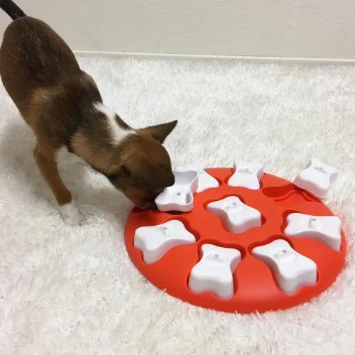 Nina Ottosson koera mänguasi Dog Smart, oranž