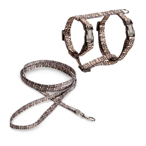 Basic kassi traksid ja jalutusrihm mustriga, S, beež