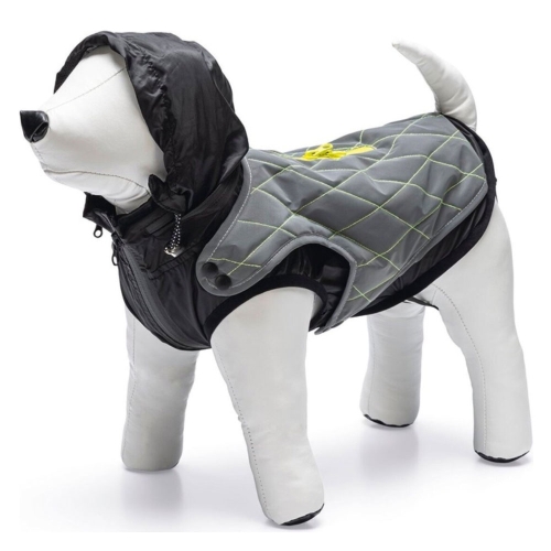 Beeztees Safety Gear Allia jope koerale 62, helendav hall
