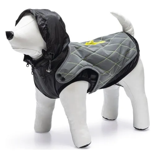 Beeztees Safety Gear Allia jope koerale 62, helendav hall
