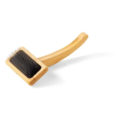 Show Dog Grooming kraas lühikeste piidega, M