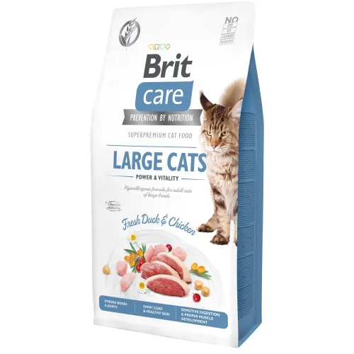 Brit Care Large Cats kassi kuivtoit suurele kassile, part/kana, 7 kg