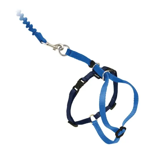 PetSafe kassi traksid Easy Walk M, sinine