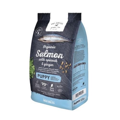 Go Native kuivtoit koertele lõhe, spinati ja ingveriga, 4 kg