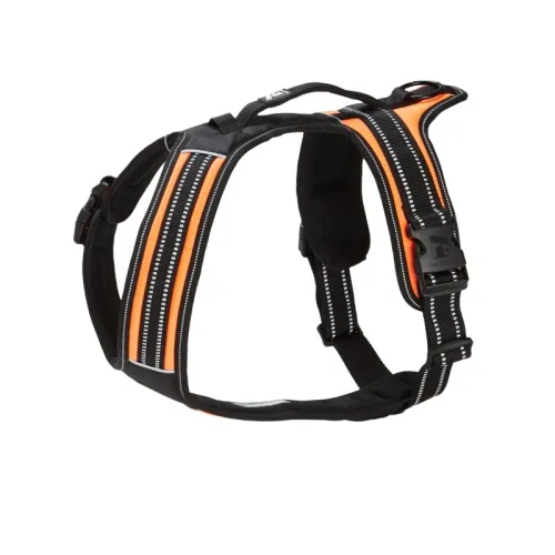 Feel Active koera traksid Sport, M, oranž