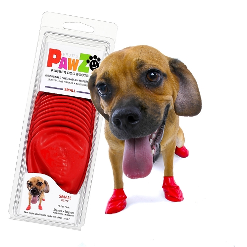 Pawz koerte kummisokid S, punane