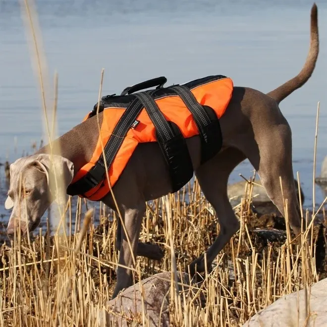 Rukka Safety päästevest, L 20-40 kg, oranž - Tootepilt 2