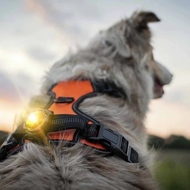 Orbiloc Dual tuluke, punane - Tootepilt 4