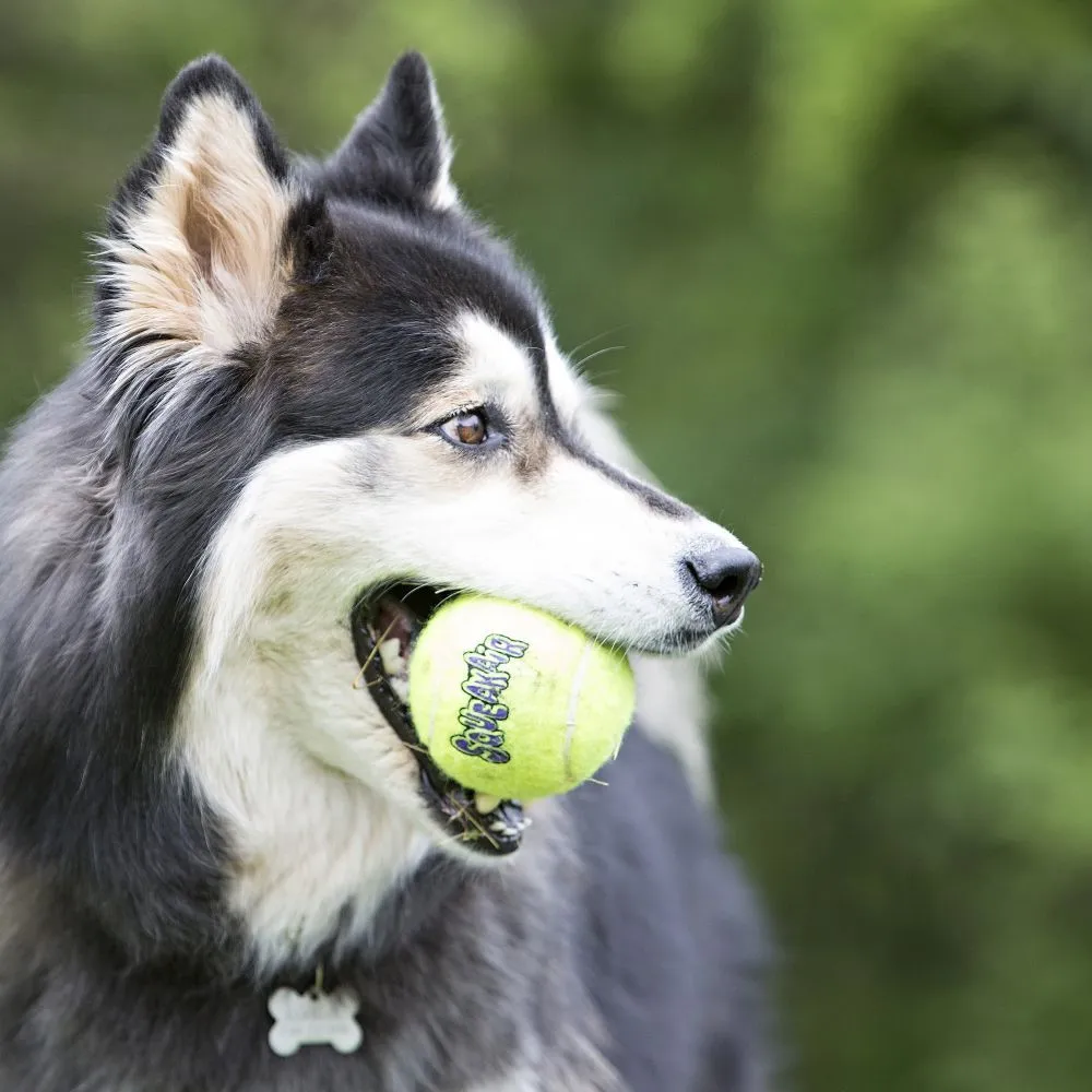KONG Air piiksuvad tennisepallid 3 tk, XS - Tootepilt 2