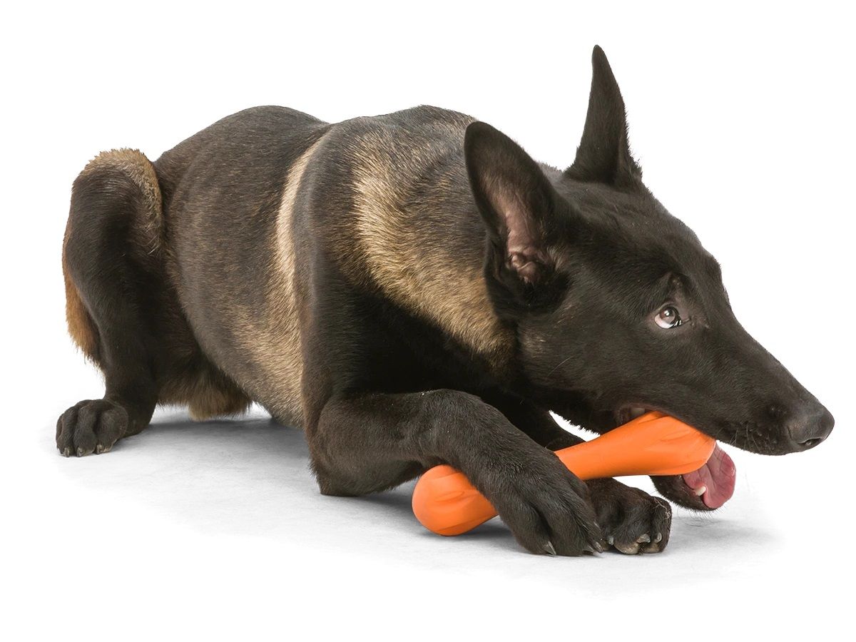 West Paw Hurley mänguasi koertele 21 cm, oranž