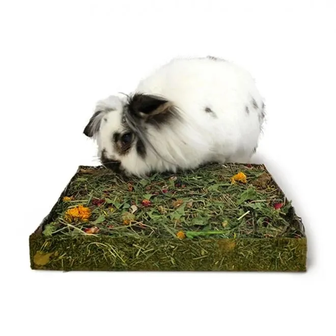 Rosewood Nibble'n'Dig maiusealus väikeloomadele - Tootepilt 2