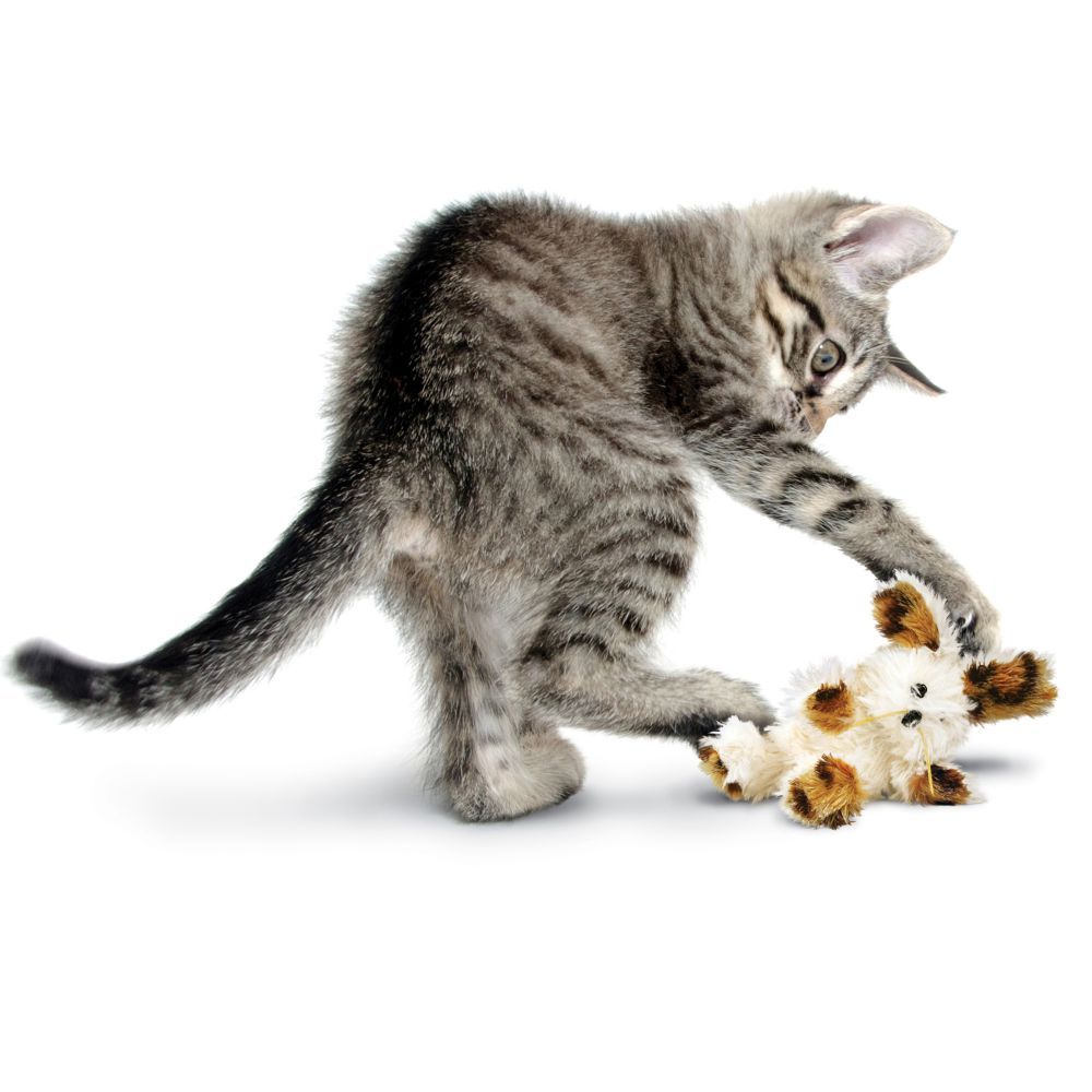 Kong Cat Softies naistenõgega mänguasi kassidele