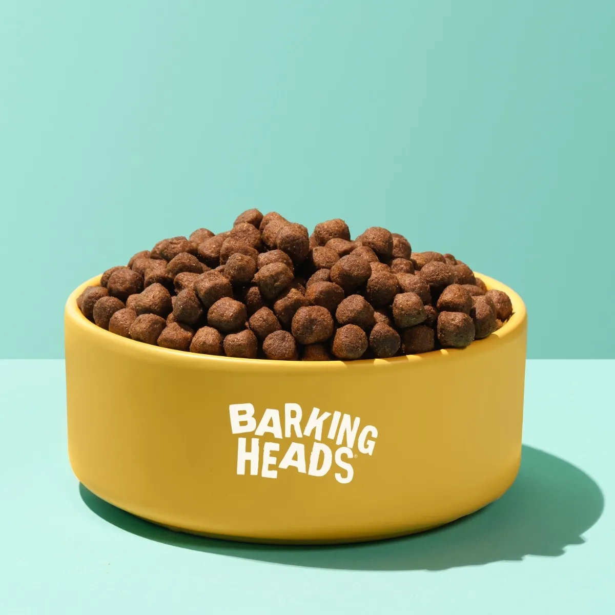 Barking Heads Hair Necessities koera kuivtoit lõhega, 12 kg - Tootepilt 2