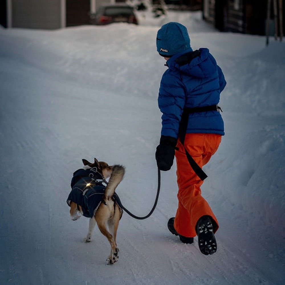 Orbiloc Dog Dual LED tuluke, kollane