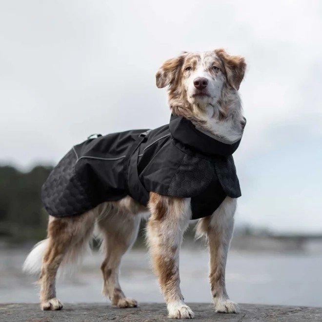 Feel Active Göteborg vihmajope must 40 - Tootepilt 2