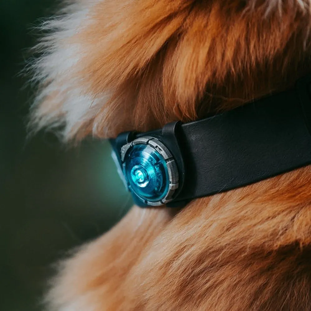 Orbiloc Dog Dual LED tuluke, türkiis - Tootepilt 2