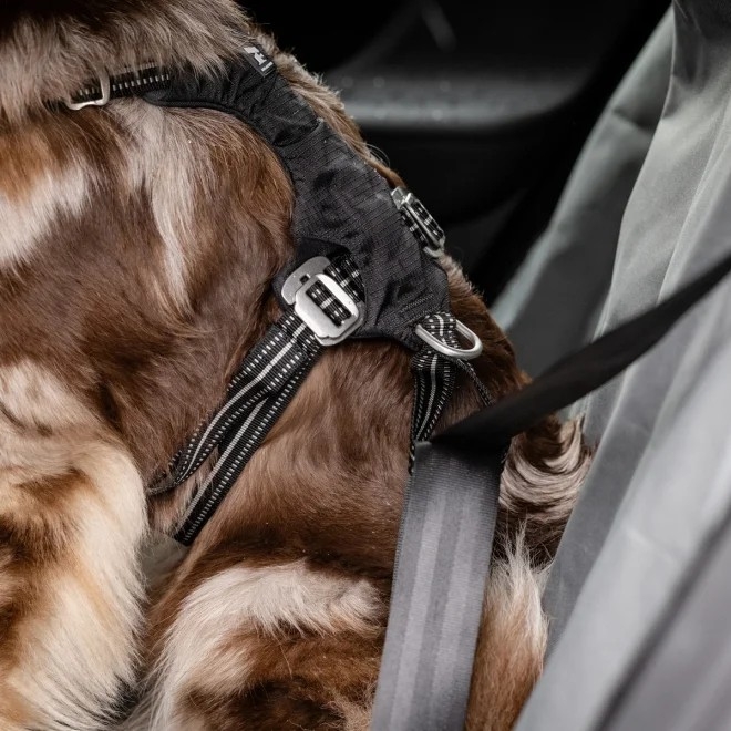 Feel Active Car Safety traksid must XS - Tootepilt 2