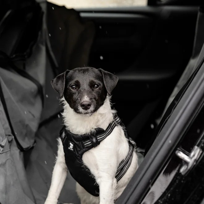 Feel Active Car Safety traksid must XS - Tootepilt 3