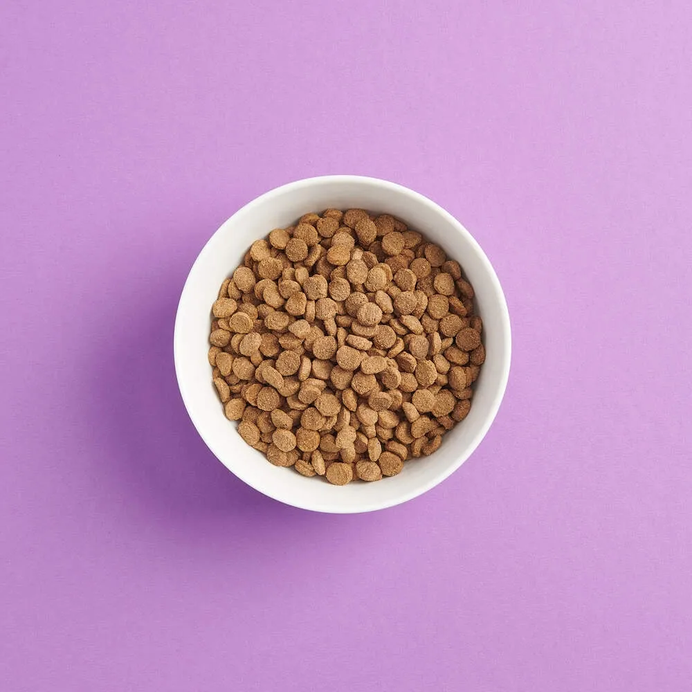 SMAAK täissööt kassidele kanaga 1,5 kg - Tootepilt 2