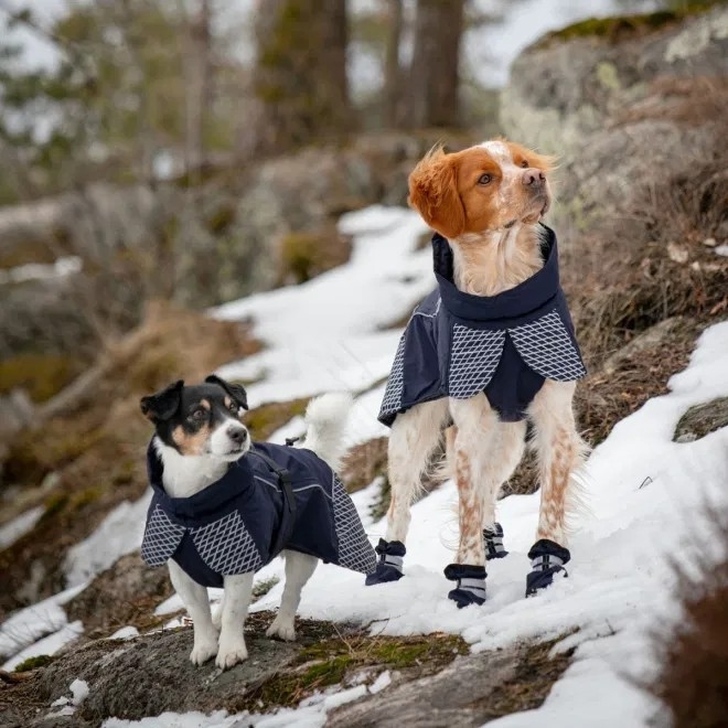 Feel Active koera talvejope Glacier, 25 cm - Tootepilt 3
