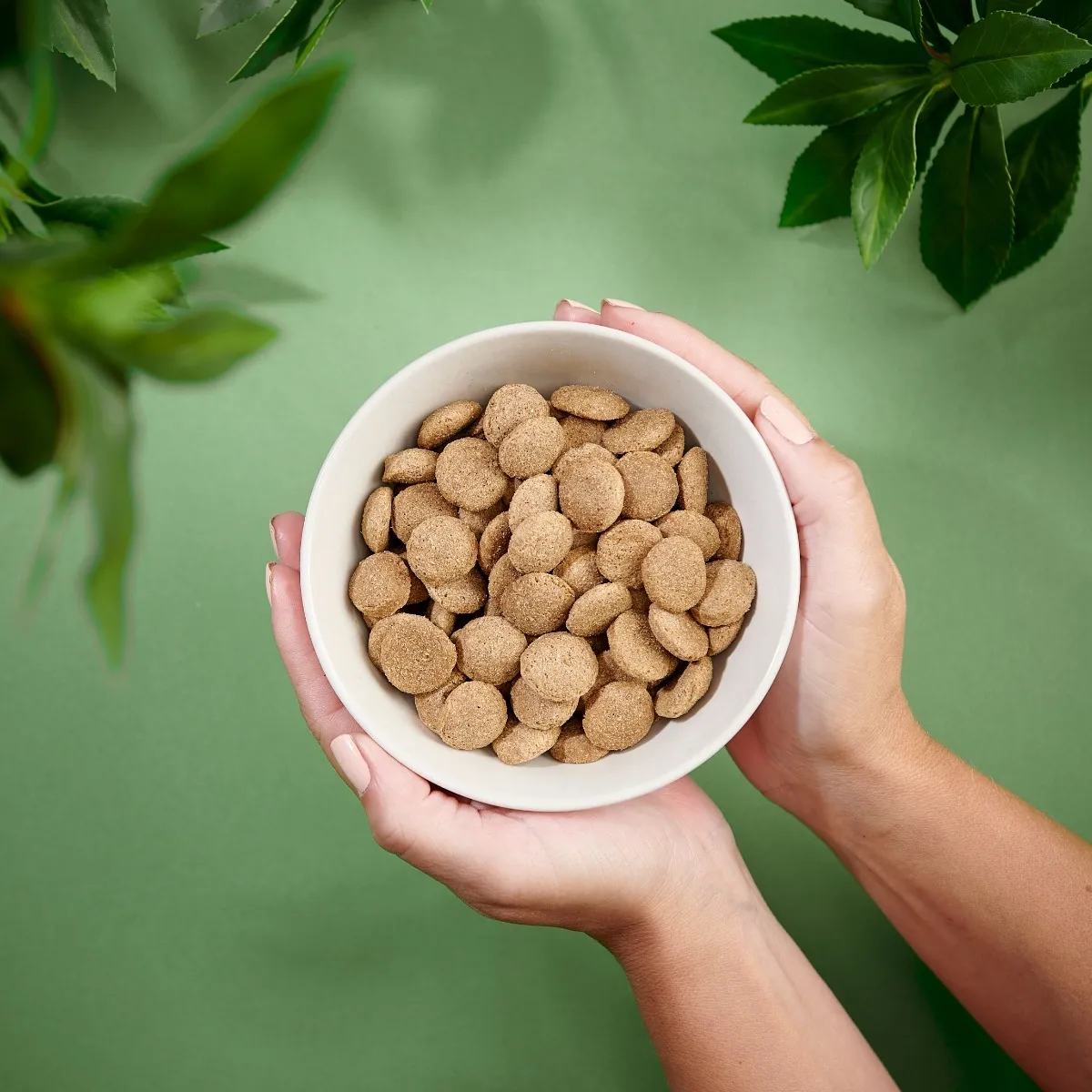 Purenatural kuivtoit suurele koerale, 12 kg - Tootepilt 3