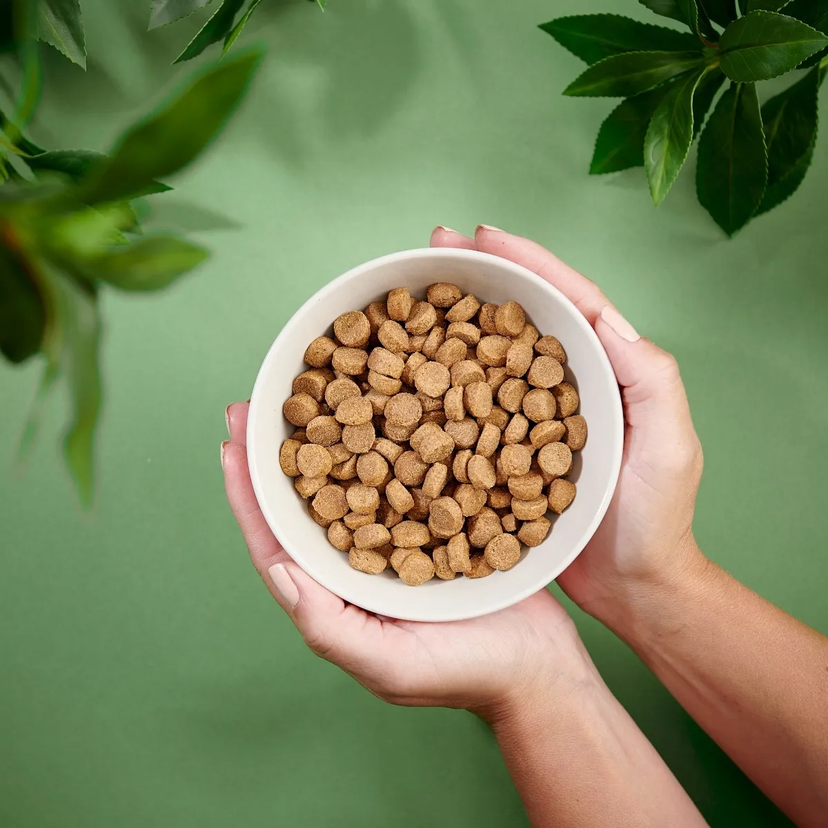 Purenatural koera kuivtoit keskmist tõugu koerale, 2 kg - Tootepilt 3