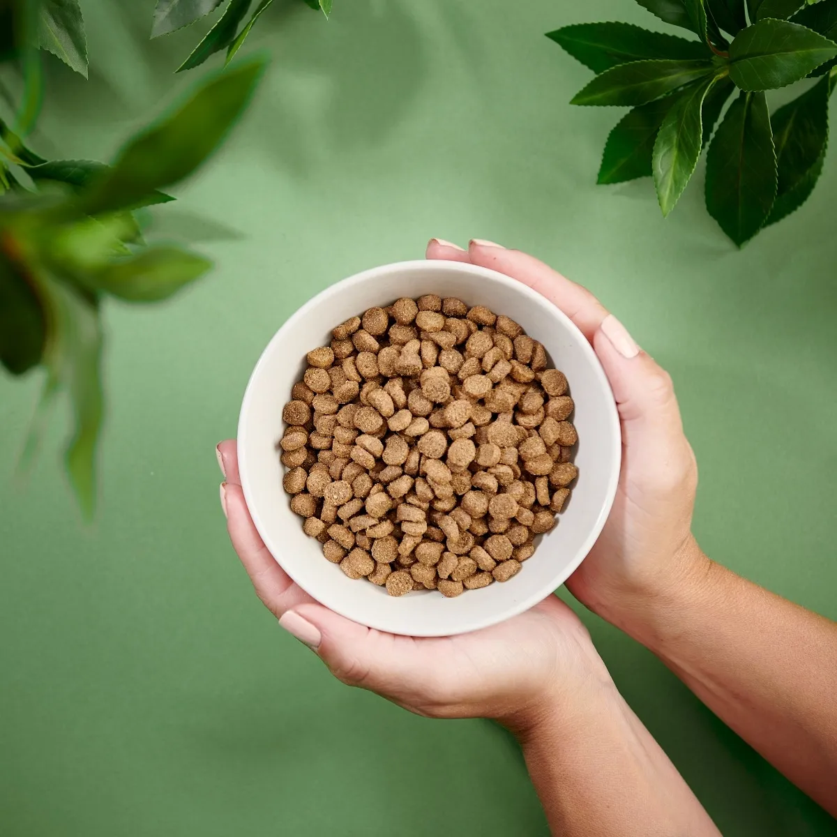 Purenatural Mini koera kuivtoit, 2 kg - Tootepilt 2