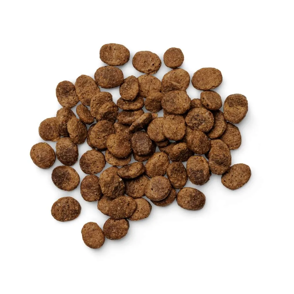 Purenatural koera kuivtoit, sealiha, teraviljavaba, 2 kg - Tootepilt 2