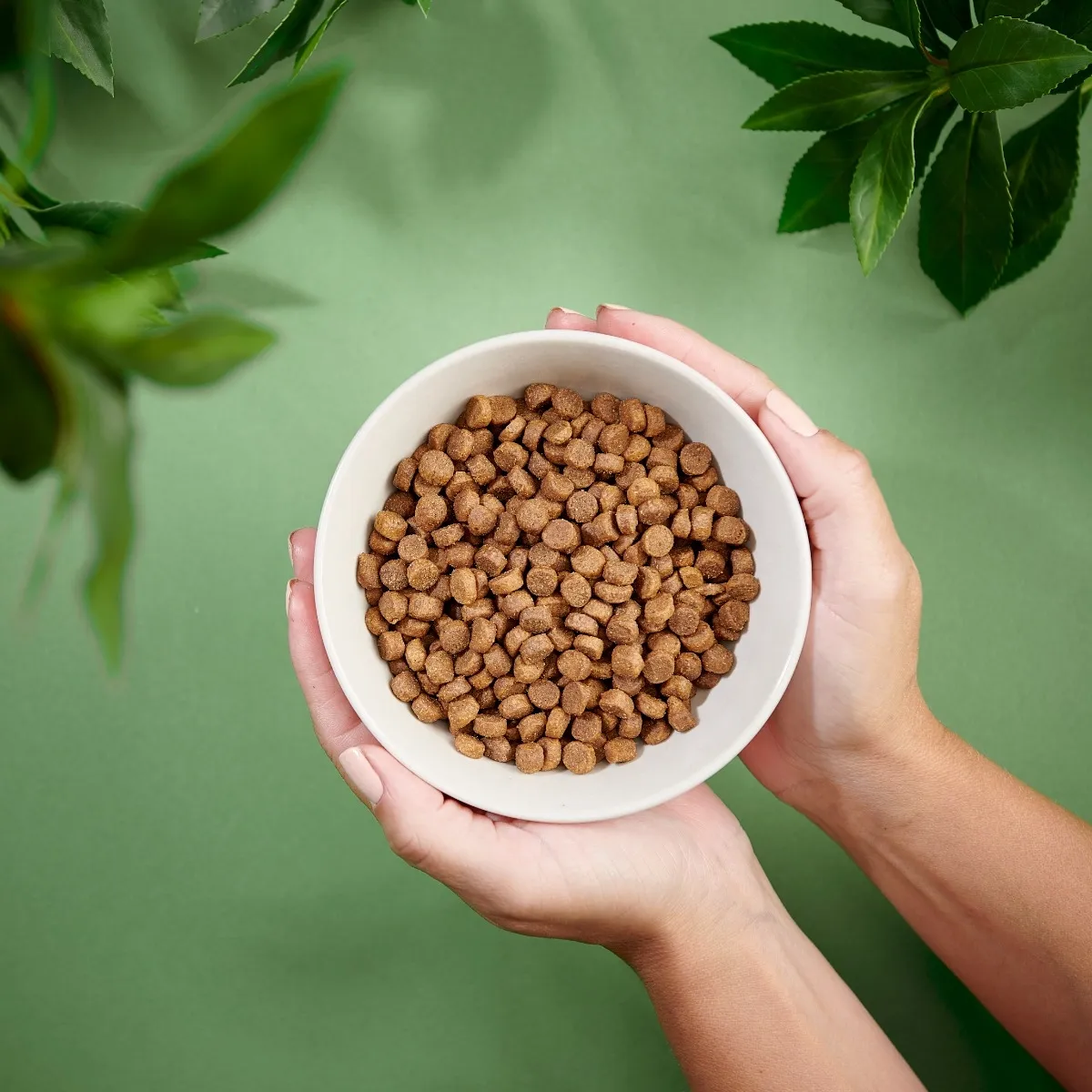 Purenatural kutsika kuivtoit, 2 kg - Tootepilt 2