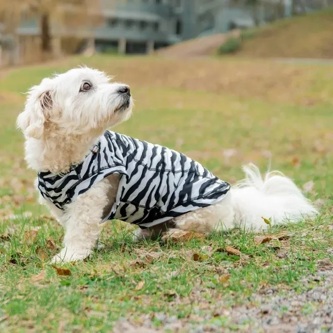 Rukka Zebra koerajakk M - Tootepilt 3