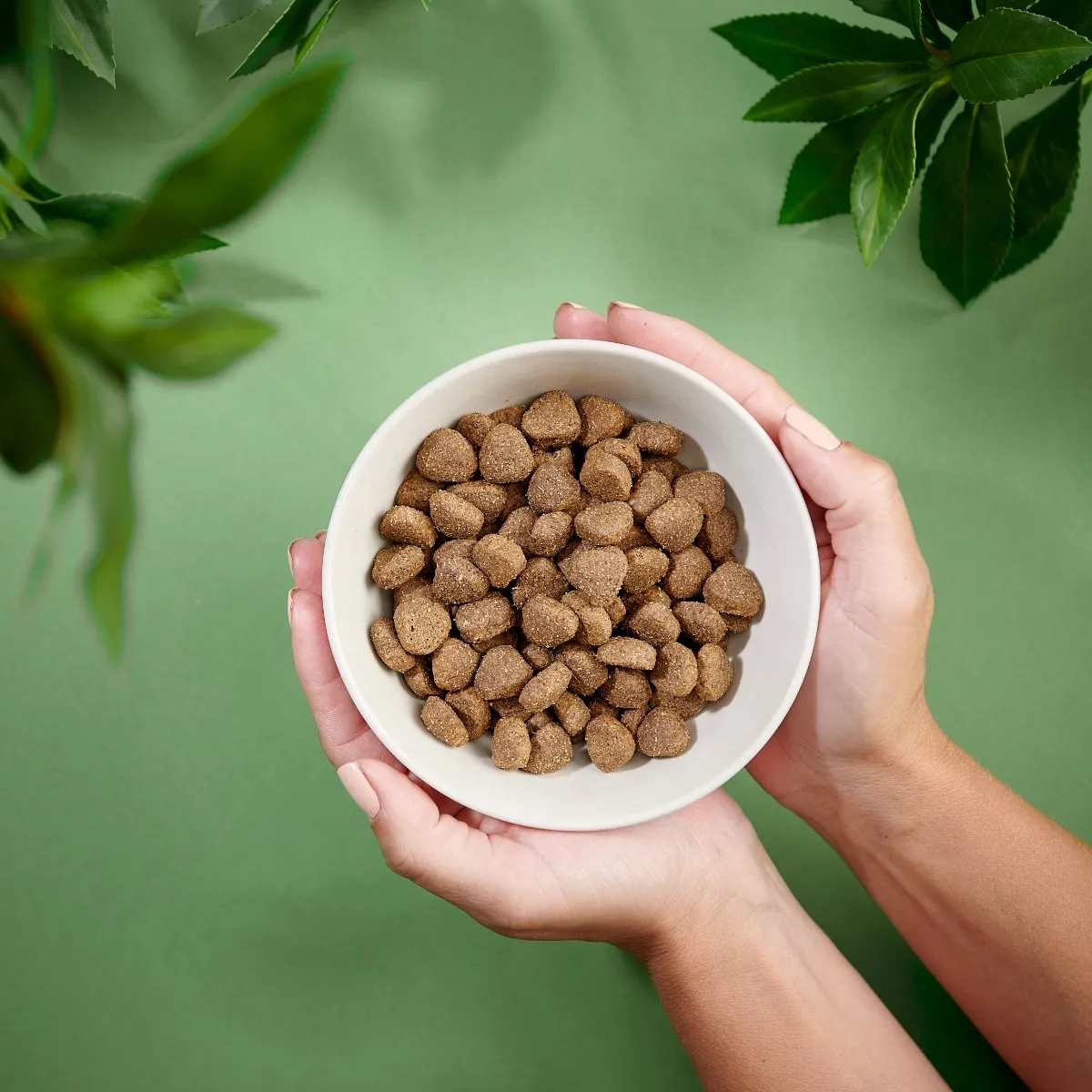 Purenatural Senior kuivtoit eakatele koertele, 2 kg - Tootepilt 2