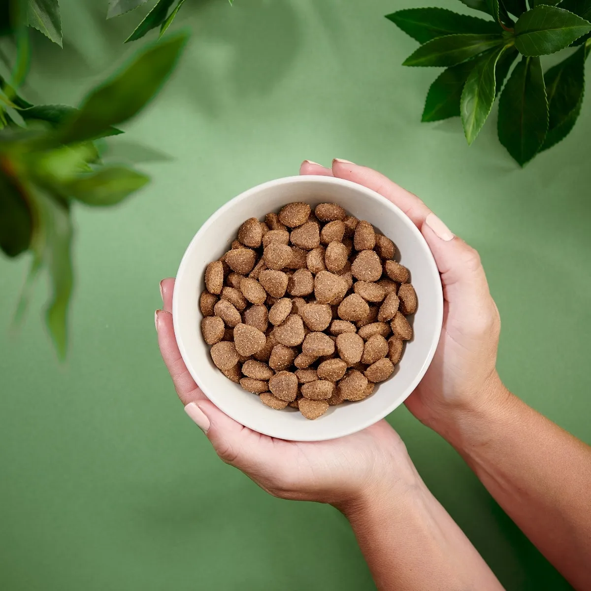 Purenatural Sensitive koera kuivtoit, part, 2 kg - Tootepilt 2