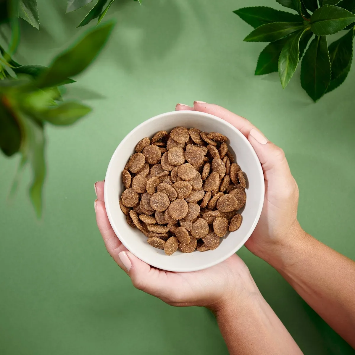 Purenatural koera kuivtoit, kalkun, teraviljavaba, 2 kg - Tootepilt 2