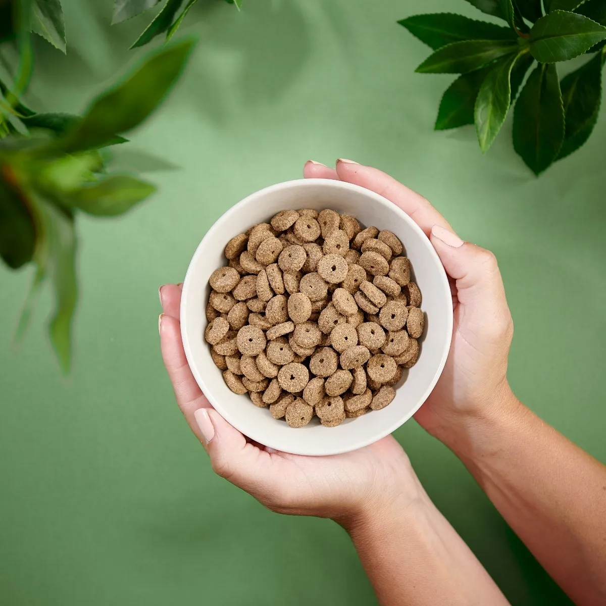 Purenatural Light koera kuivtoit, kalkun, 2 kg - Tootepilt 2