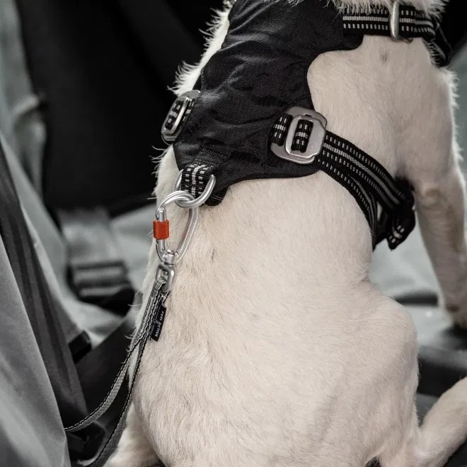 Feel Active Car Heavy Duty turvavöörihm L - Tootepilt 2